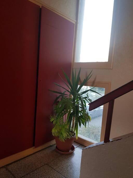 Superbe Appartement En Residence Prive Avec Un Parking Prive Scionzier Kültér fotó