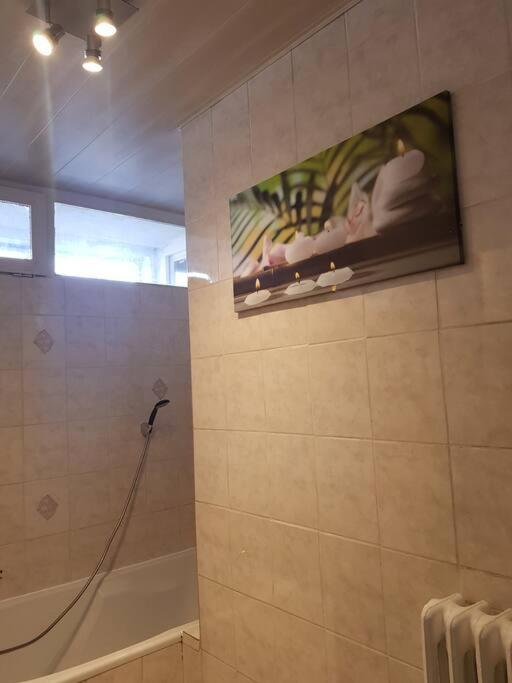 Superbe Appartement En Residence Prive Avec Un Parking Prive Scionzier Kültér fotó